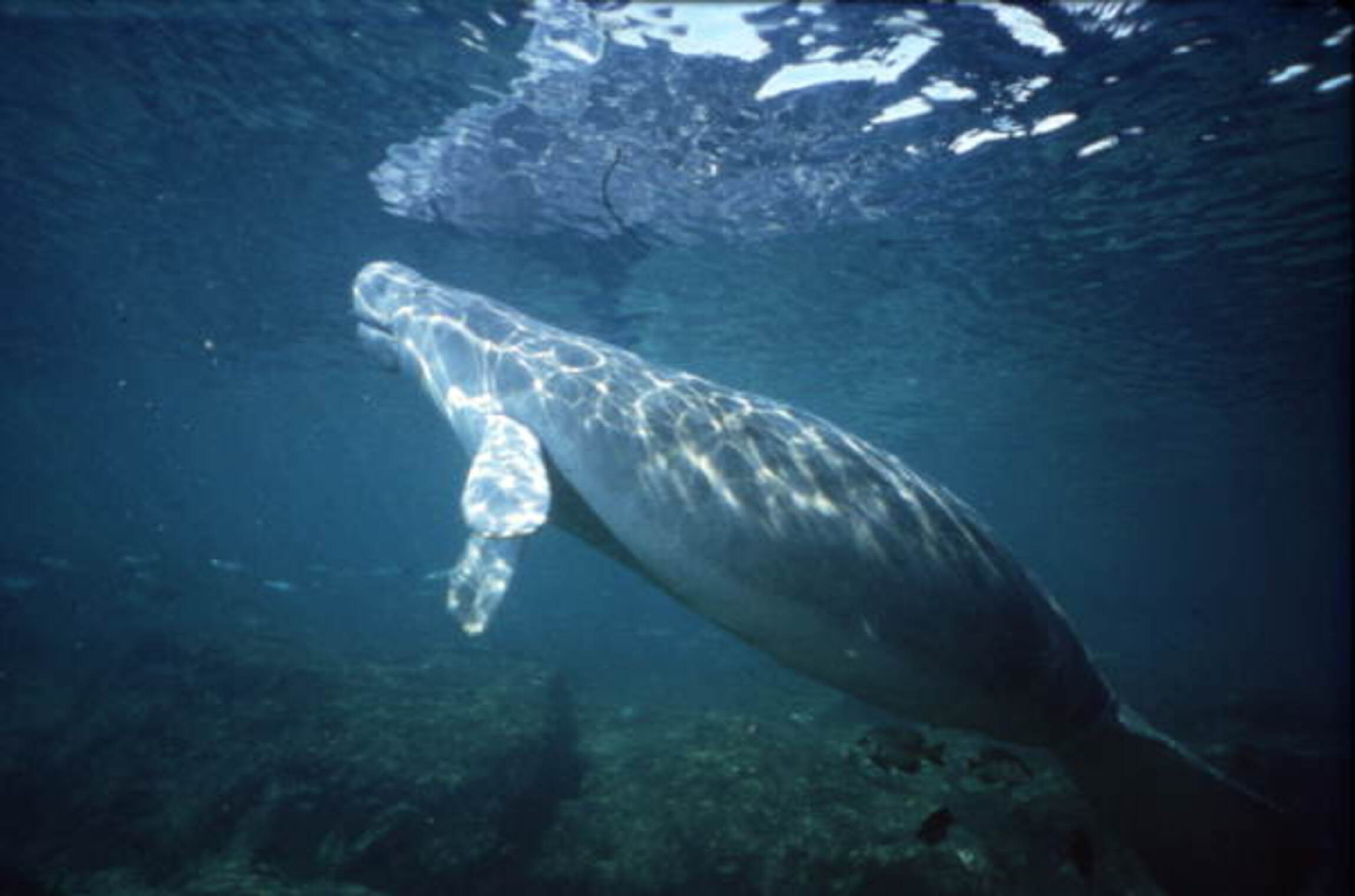 221429923 © State Library and Archives Florida | Dreamstime.com